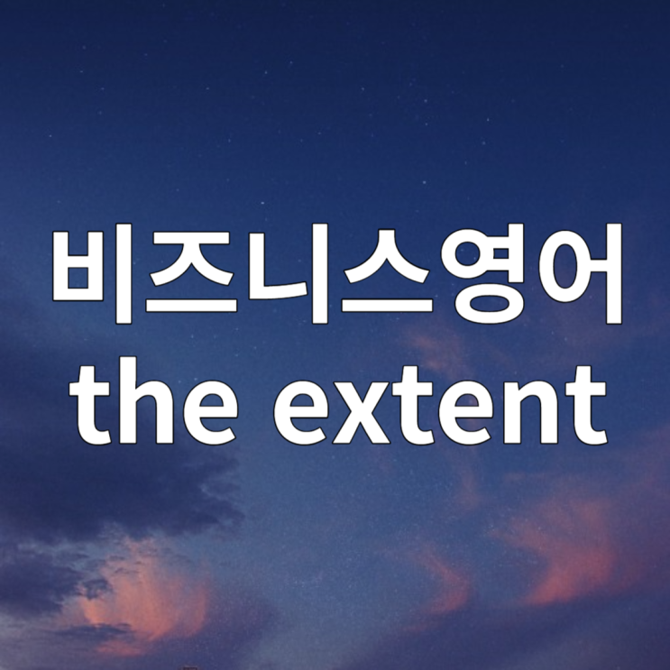 비즈니스 영어표현 to the extent, to some extent, the extent to which