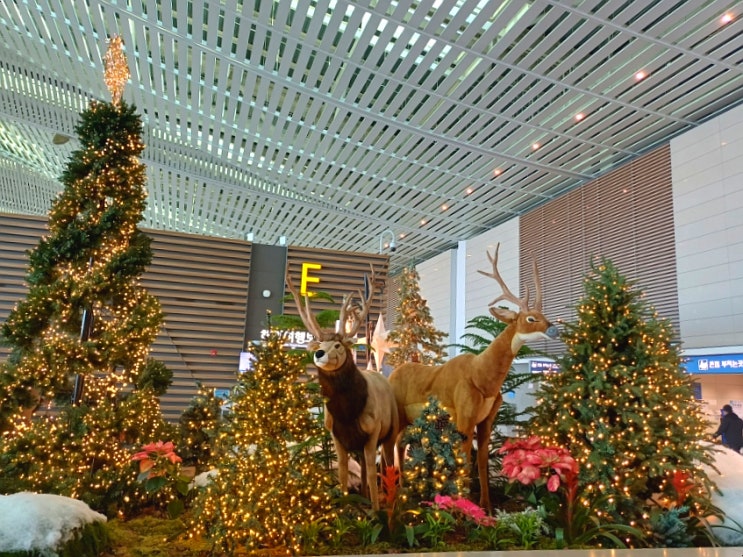  인천공항 크리스마스 2터미널은? 세가지 매력의 트리