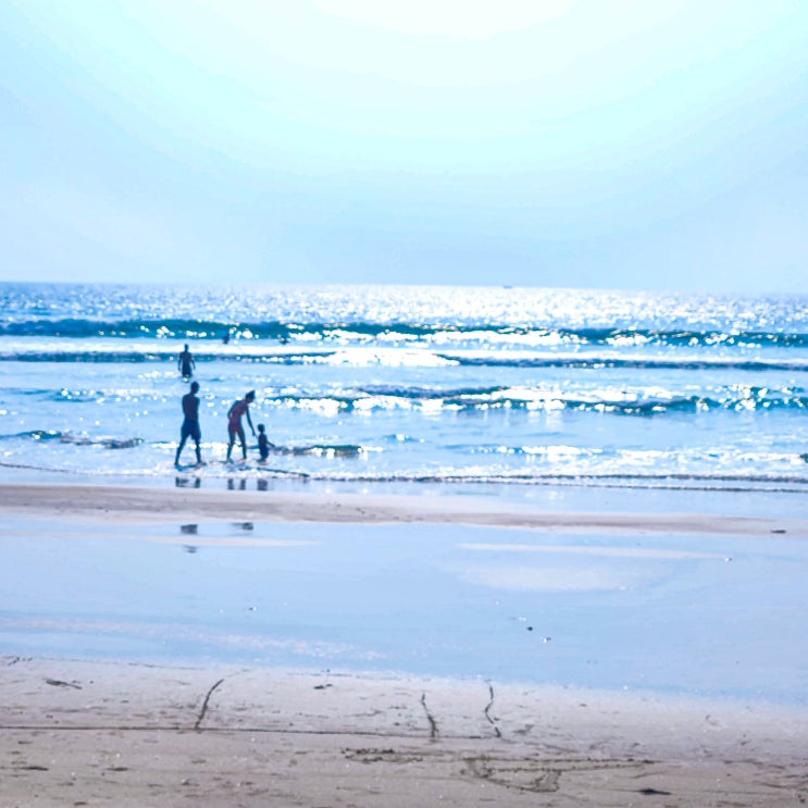생애 첫 남인도 EP.11 베놀림 비치(Benaulim Beach)