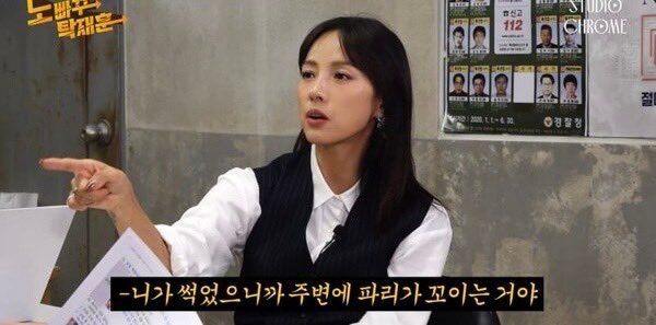  돈을 모을때는 날파리들을 조심해라 (세이노의 가르침 책리뷰)