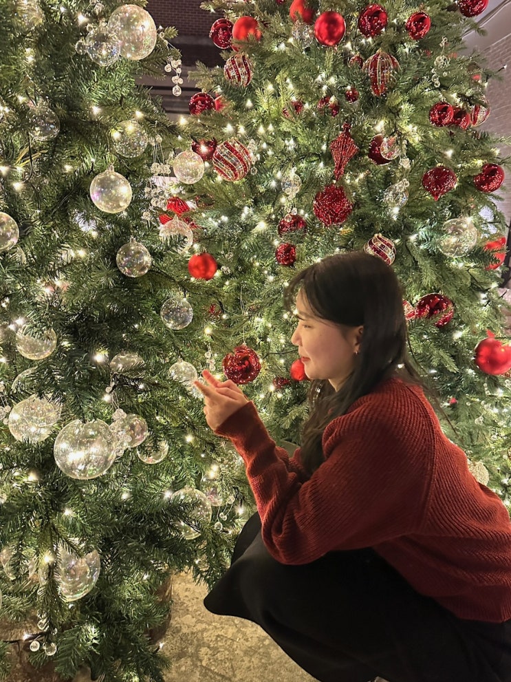 [포천 드라이브] 오스스한 크리스마스 분위기! 트리투어~