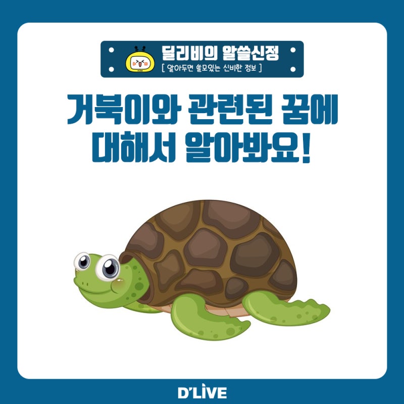 바다거북이 꿈 키우는꿈 거북이먹는 꿈 해몽 알아보자