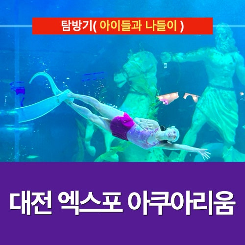 아이들과 함께하는 바다 속 체험 : 대전 엑스포 아쿠아리움(가족 나들이) 아이들과 함께하는 바다 속 체험 : 대전 엑스포 아쿠아리움(가족 나들이)