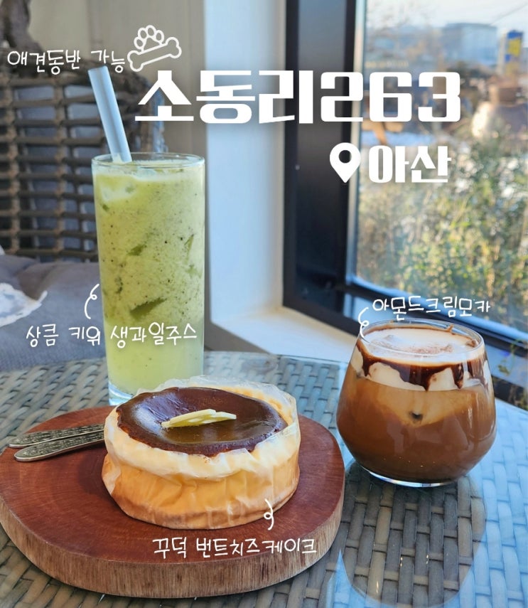  아산 실내 애견동반 가능 한 소동리263 카페 (바스크 치즈케이크 디저트 맛집)