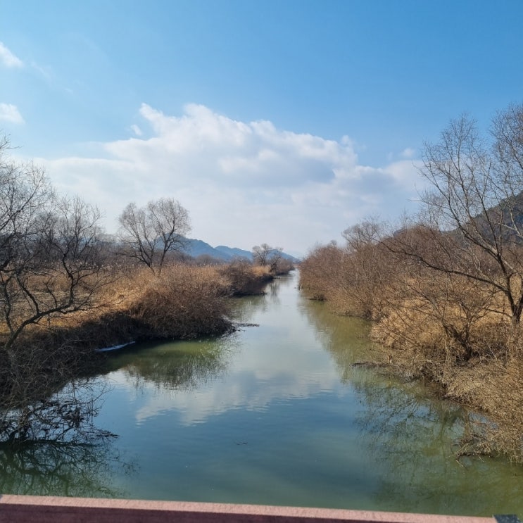 경남 부산 근교 아이들과 가볼 만한 곳 - 화포천 습지생태공원