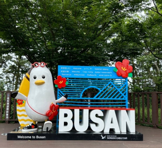  [부산] 송도 해상 케이블카