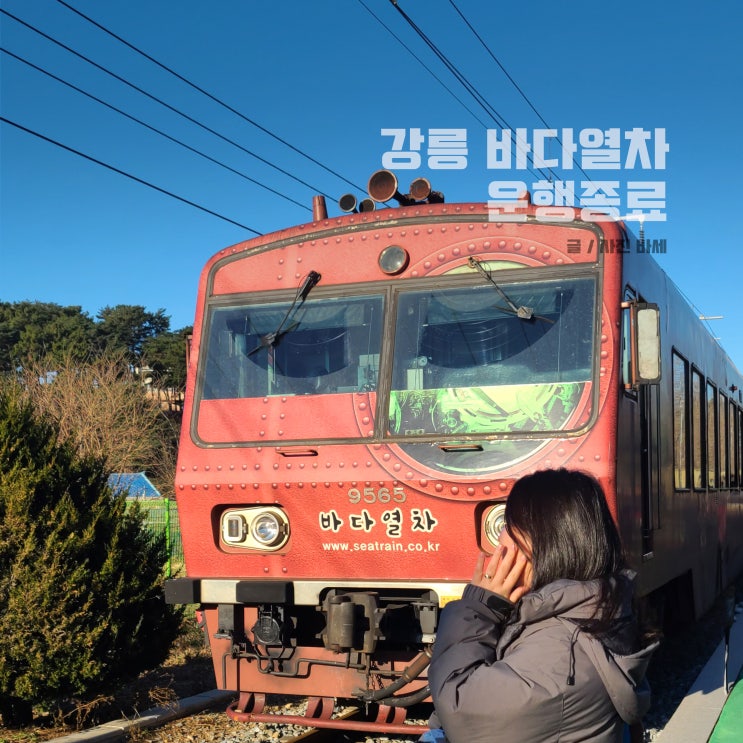  강릉 바다열차 운행종료 굿바이 바다열차