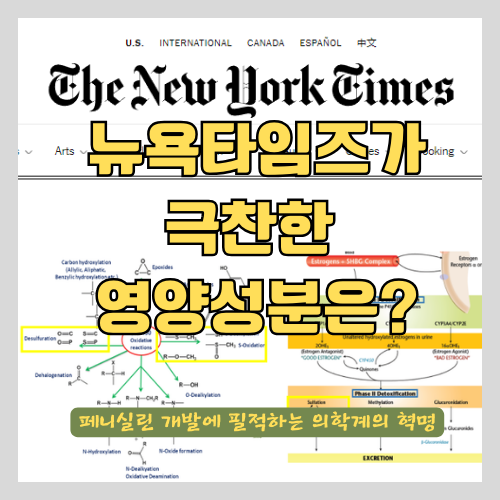  약사가 알려주는 만성 통증에 좋은 영양 성분 - MSM 식이유황의 효능과 원리