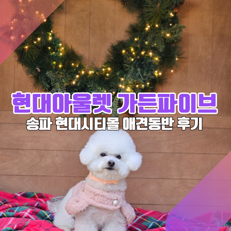  [송파 현대시티몰 가든파이브점 탐방기] "실내에서 애견동반하기 괜찮을까?"