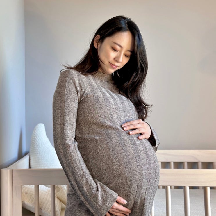  미국 산부인과 진료 기록 (임신 초기 - 후기까지)