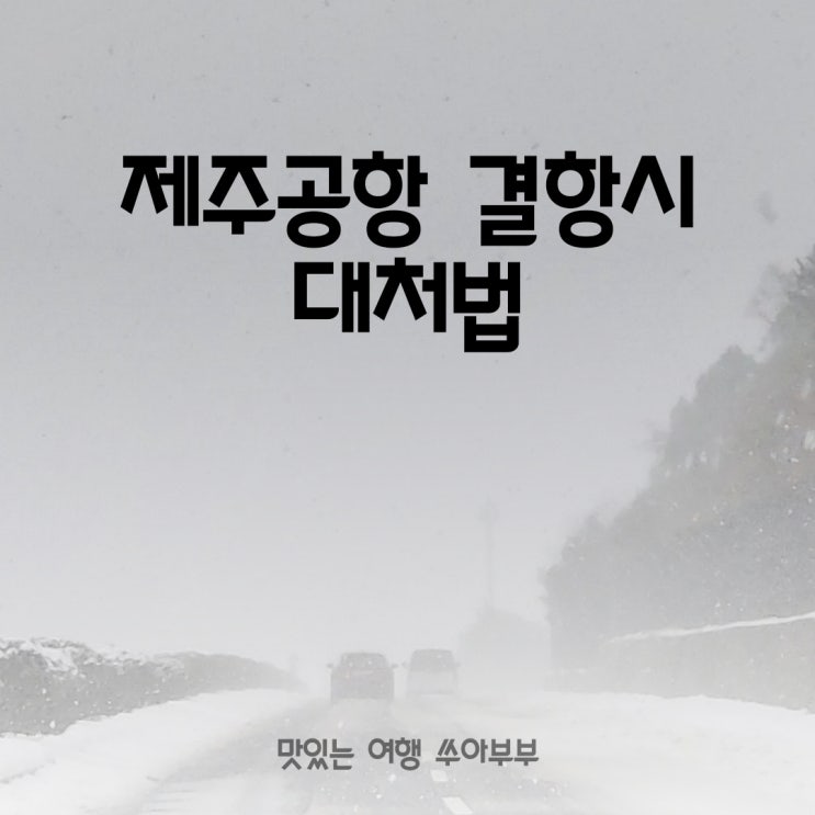 <b>제주공항</b> <b>결항</b>시 대처법 <b>제주</b> 폭설 <b>제주공항</b> 비행기 <b>결항</b> 호텔... 