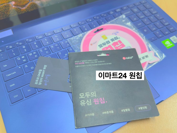  알뜰폰 선불유심 셀프개통 순서