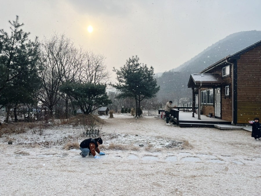 소백산 자연누리 카라반 사진