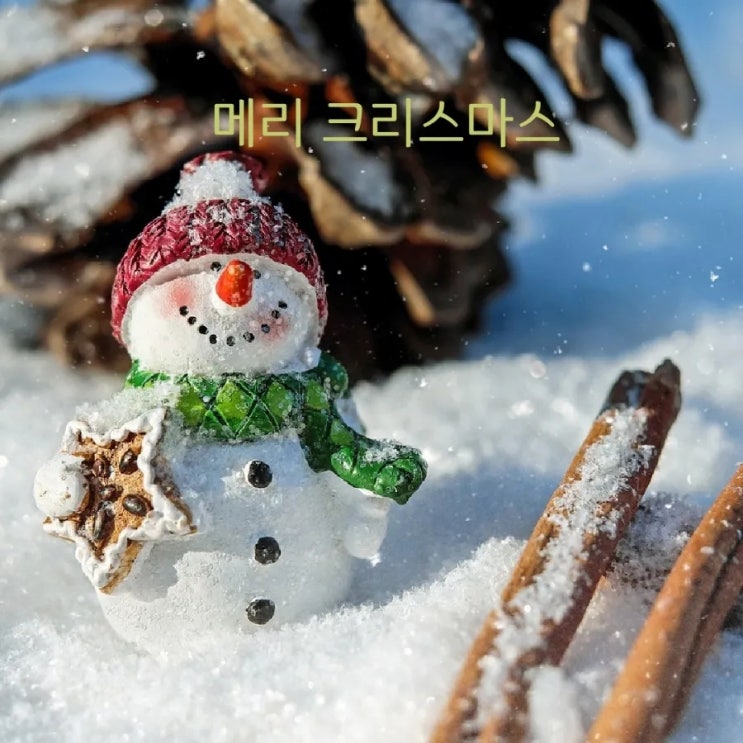 메리크리스마스 천개의바람 축복과 위로 메리크리스마스 천개의바람 축복과 위로