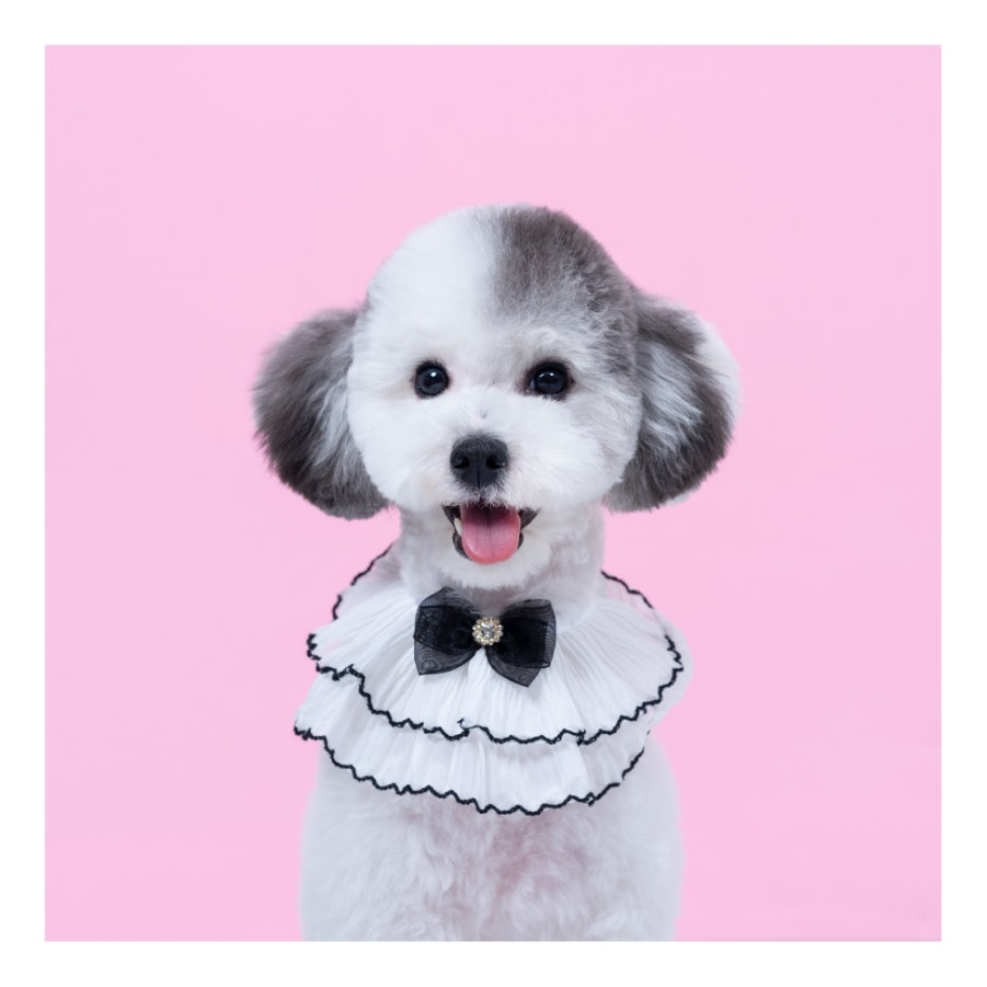 연천사진관 사진 1