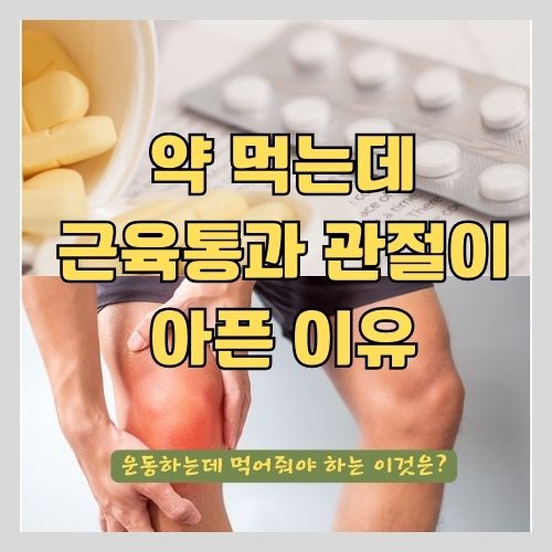  약 먹는데 근육통이나 관절이 아픈분들과 헬스 하는 사람들이 먹어야 하는 영양 성분은? - MSM이 필요한 사람은?
