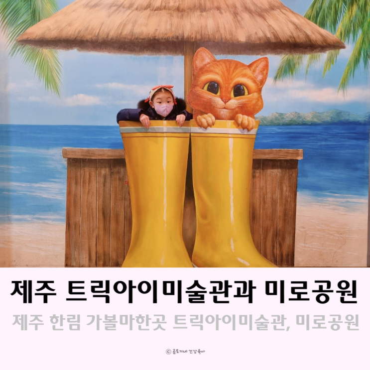 제주 한림 가볼만한곳 트릭아이미술관과 미로공원