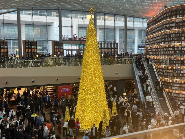 코엑스 별마당도서관 반짝반짝 빛나는 크리스마스 트리