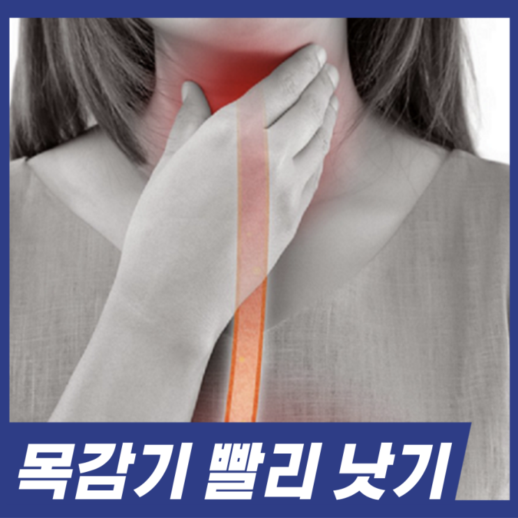  목감기 빨리 낫는 법 집에서 실천 가능한 3가지