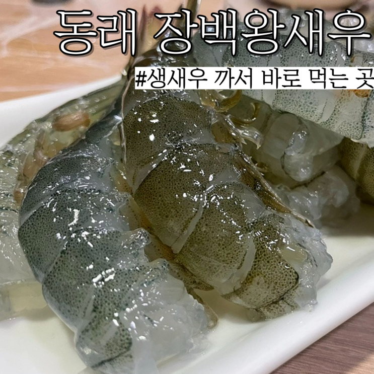  부산 동래 오도리 왕새우 맛집: 제대로 된 생새우 먹고 싶을 때 "장백왕새우"