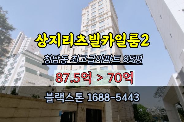  상지리츠빌카일룸 경매 청담동 최고급아파트 100억이하 85평 탑층 한강조망