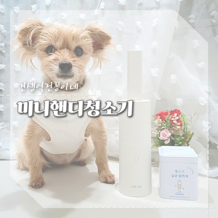  무선 미니청소기 예쁘고 흡입력 좋은 에어건 핸디청소기