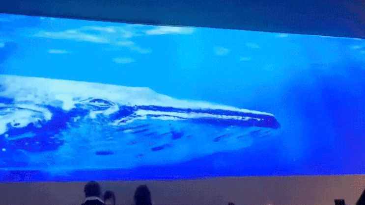  홍대술집 마르리멘 흰수염고래 스크린 쇼