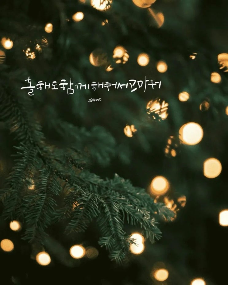   오늘의 생활정보 (2023-12-26, 화)