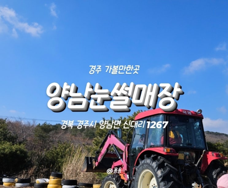  경주 가볼만한곳 놀거리 가득인 양남눈썰매장
