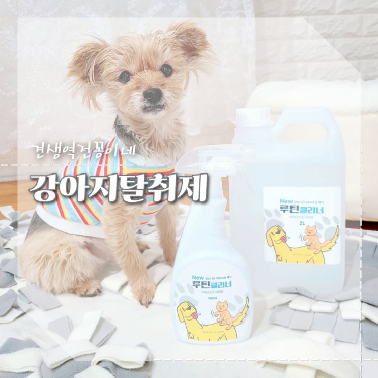  강아지탈취제 추천 루틴클리너, 배변실수 소변냄새 반려동물 냄새제거