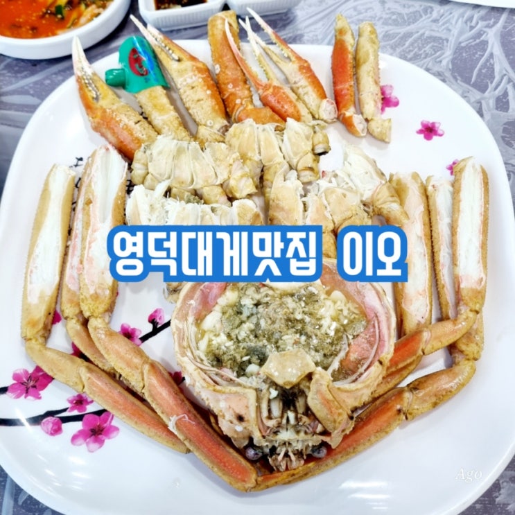  영덕대게맛집 강구항 대게직판장 이오 feat 대게코스요리