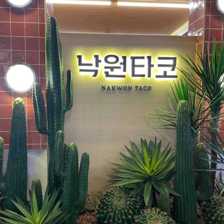  고양 스타필드 3층 푸트코트 낙원타코 맥시코 타코 음식 대기번호 꿀팁