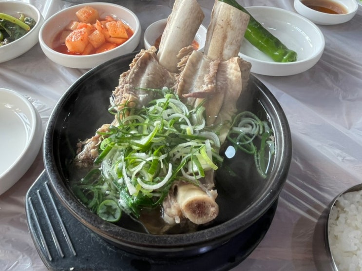  (세종) 고운동맛집 엄마가좋아하는맛집 깔끔한갈비탕 [형과아우누룽지삼계탕&왕갈비탕 고운점]