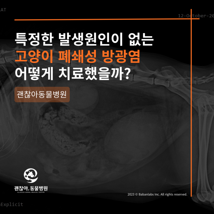  폐쇄성 방광염 치료케이스[평택/고덕 동물병원]