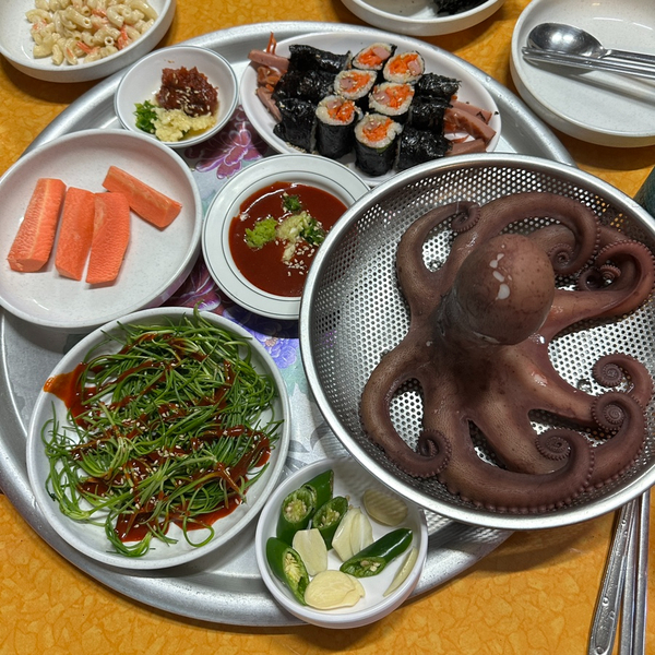  전주 객리단길 돌문어와 돌판 오징어볶음이 맛있는 초장집