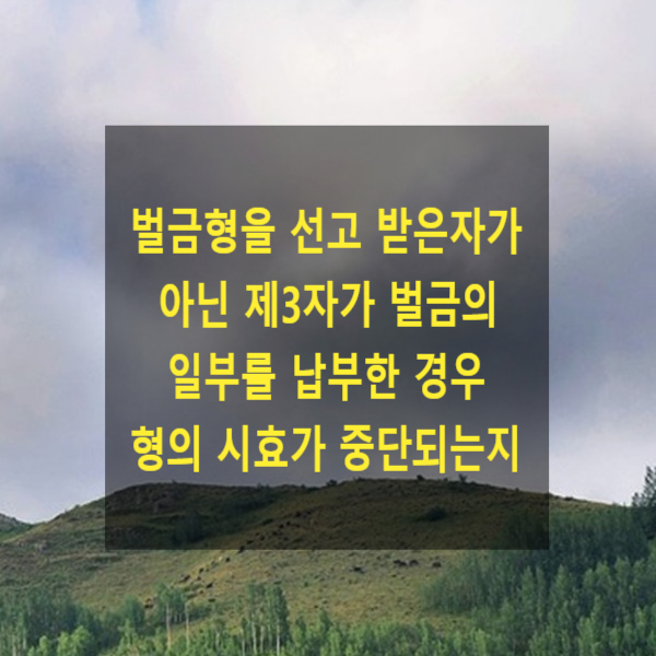  벌금형을 선고 받은자가 아닌 제3자가 벌금의 일부를 납부한 경우 형의 시효가 중단되는지(형의 시효 중단 사유)