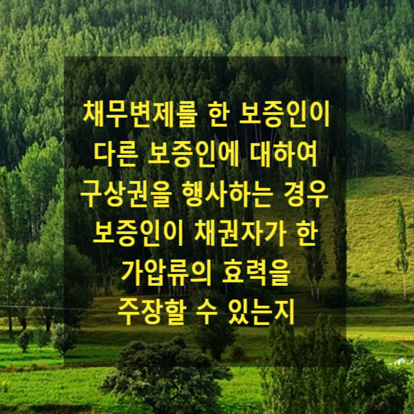  채무의 변제를 한 보증인이 다른 보증인에 대하여 구상권을 행사하는 경우 그 보증인이 채권자가 한 가압류의 효력을 주장할 수 있는지