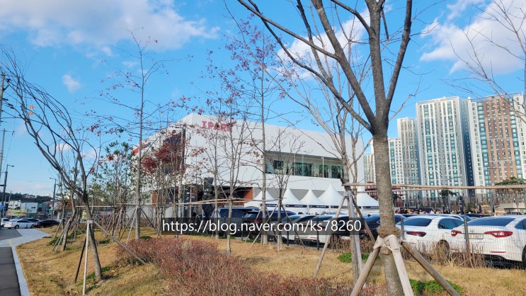 대전 서구 도마변동 4구역 재개발 3045세대 2023년 12월 26일 건축심의 통과