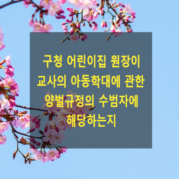  구청 직장어린이집 원장이 교사의 아동학대에 관한 양벌규정의 수범자에 해당하는지