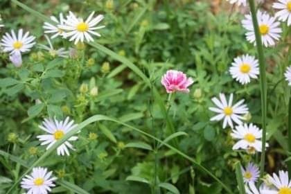 "대통령실, 김여사 특검 거부권 무게… 비공개 <b>고위당정</b>회의... 