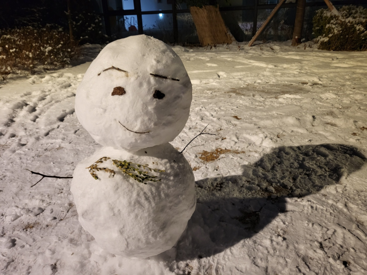 사진첩 털이 사진첩 털이