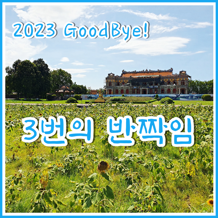  [일상] 굿바이 2023~! 세 번의 반짝임!!