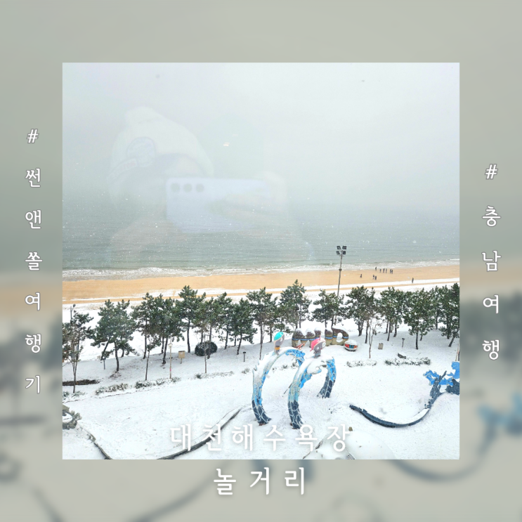  대천해수욕장 놀거리 머드광장 스케이트 겨울바다