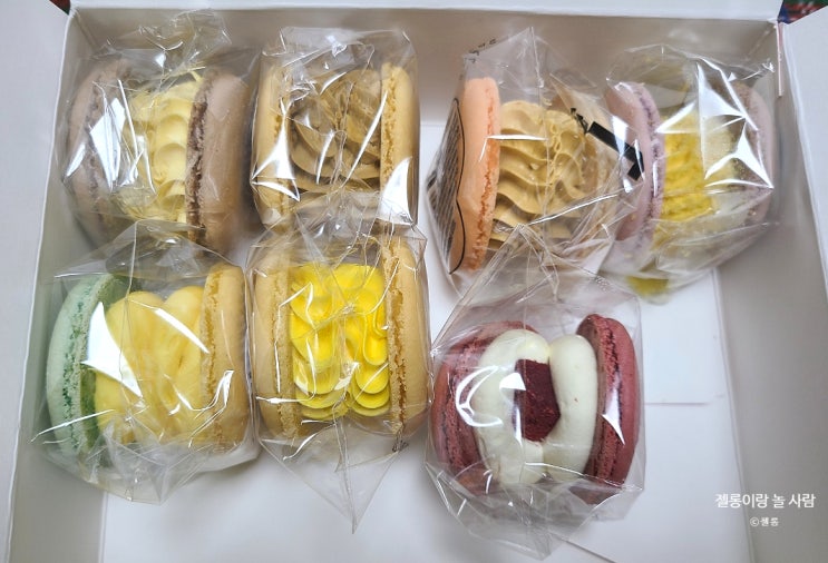  디디얌 마카롱 세트, 선물하기 좋은 뚱카롱 추천, 예쁜데 맛있고 뚱뚱하고 귀엽고 다함