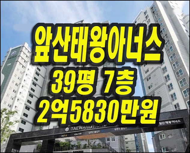 앞산태왕아너스 대구 남구 봉덕동 아파트 경매 매매