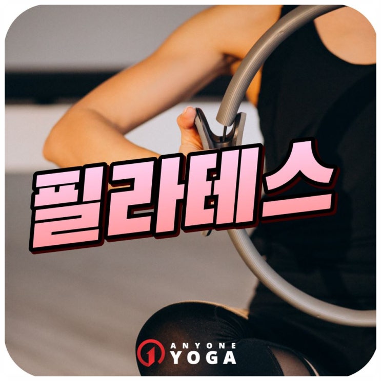  근육 1kg을 계산하면 1300만 원 가치가 있다고? 역곡역필라테스
