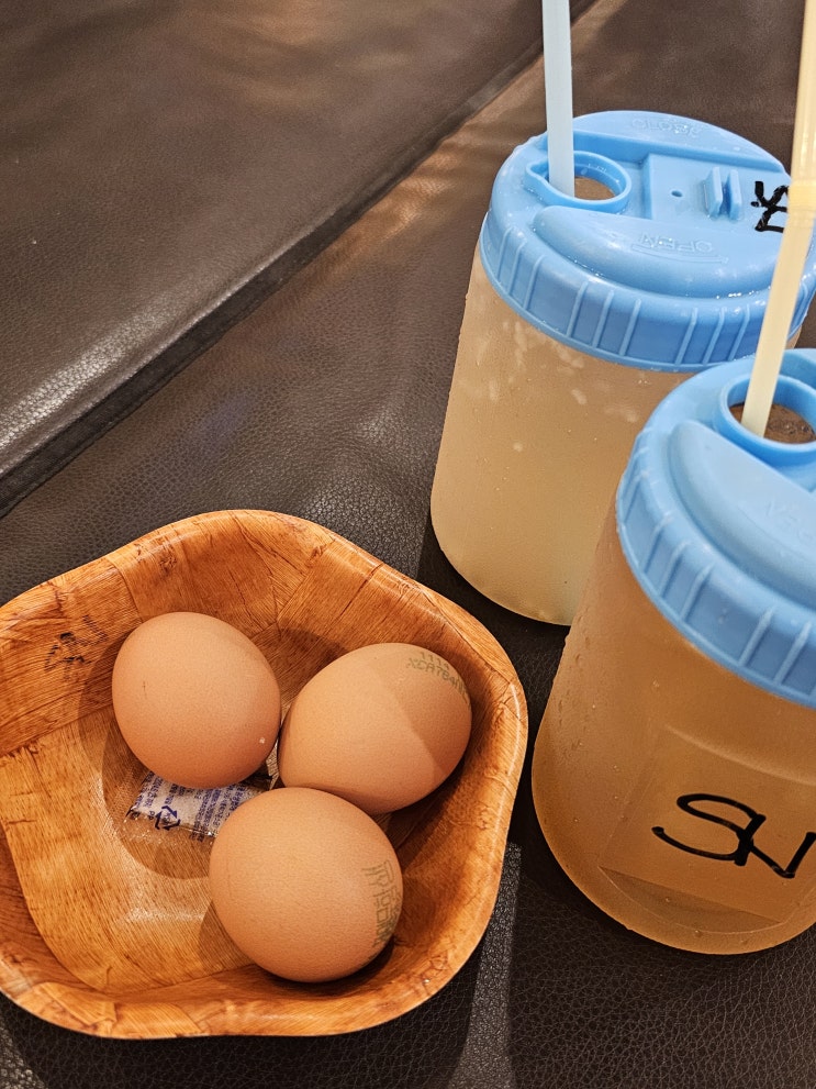  경기도 24시 찜질방 북수원온천 데이트 주차
