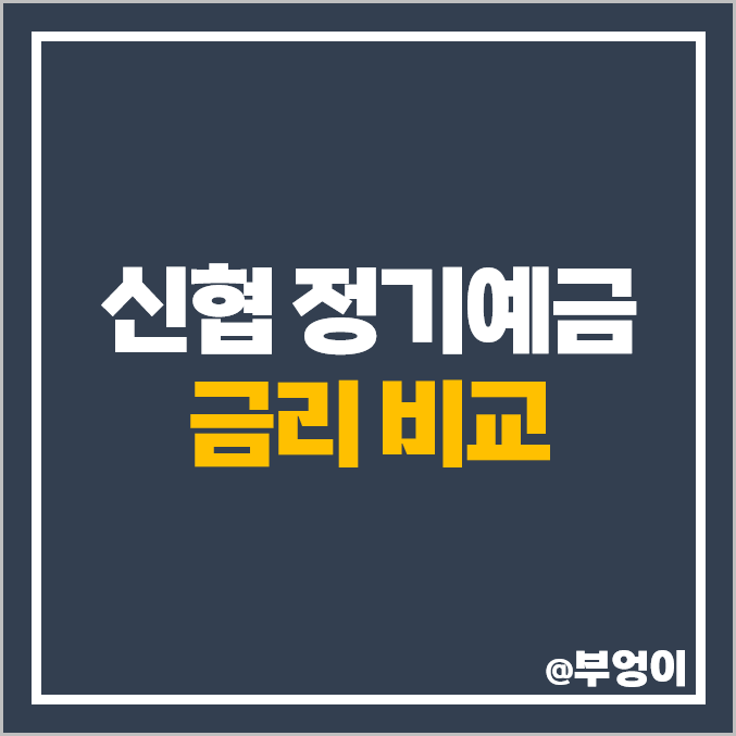 신협 정기예금 금리 비교 이자 높은 예금 특판 추천 신협 정기예금 금리 비교 이자 높은 예금 특판 추천