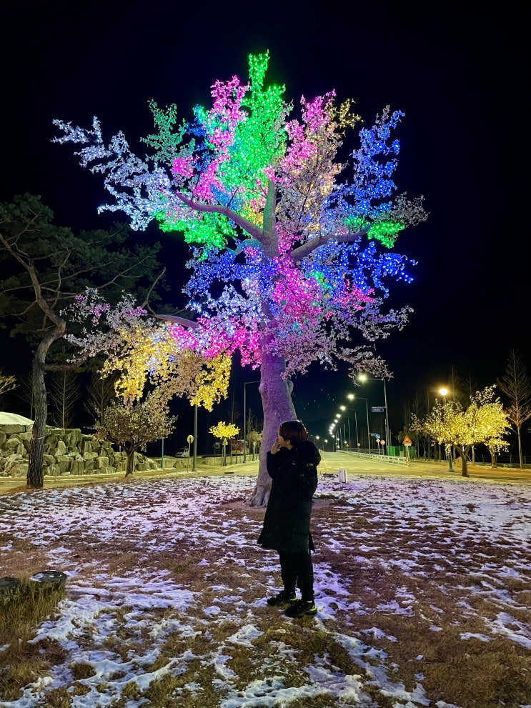 괴산 가볼만한곳 괴산자연드림파크 야경 밤산책 / 슬쌍디아빠 이동섭