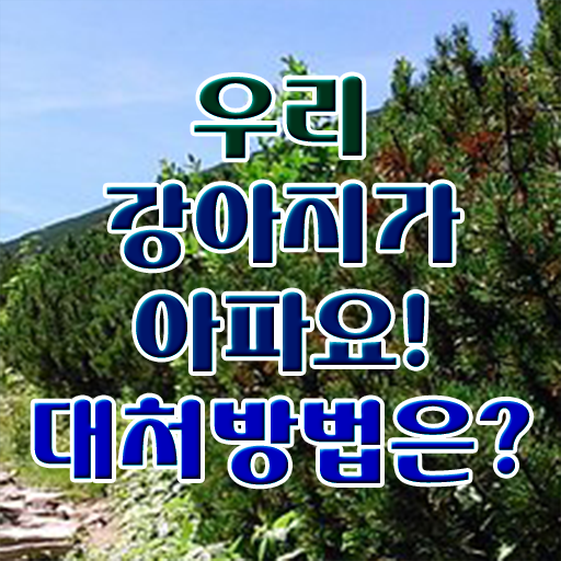  강아지열날때 대처법 정보 이모저모 ~